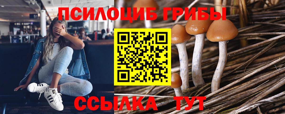 Галлюциногенные грибы MAGIC MUSHROOMS Краснознаменск