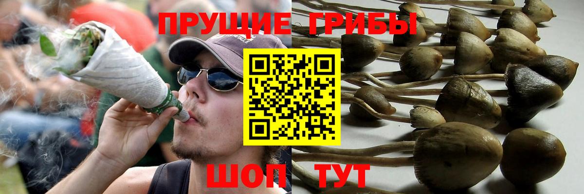 Галлюциногенные грибы MAGIC MUSHROOMS  Вход с VPN  Галлюциногенные грибы мухоморы  Краснознаменск 