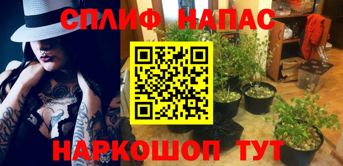 Шишки марихуана THC 21%  Каннабис White Widow  Каннабис план  Краснознаменск  Марихуана THC 21%  Вход с VPN 